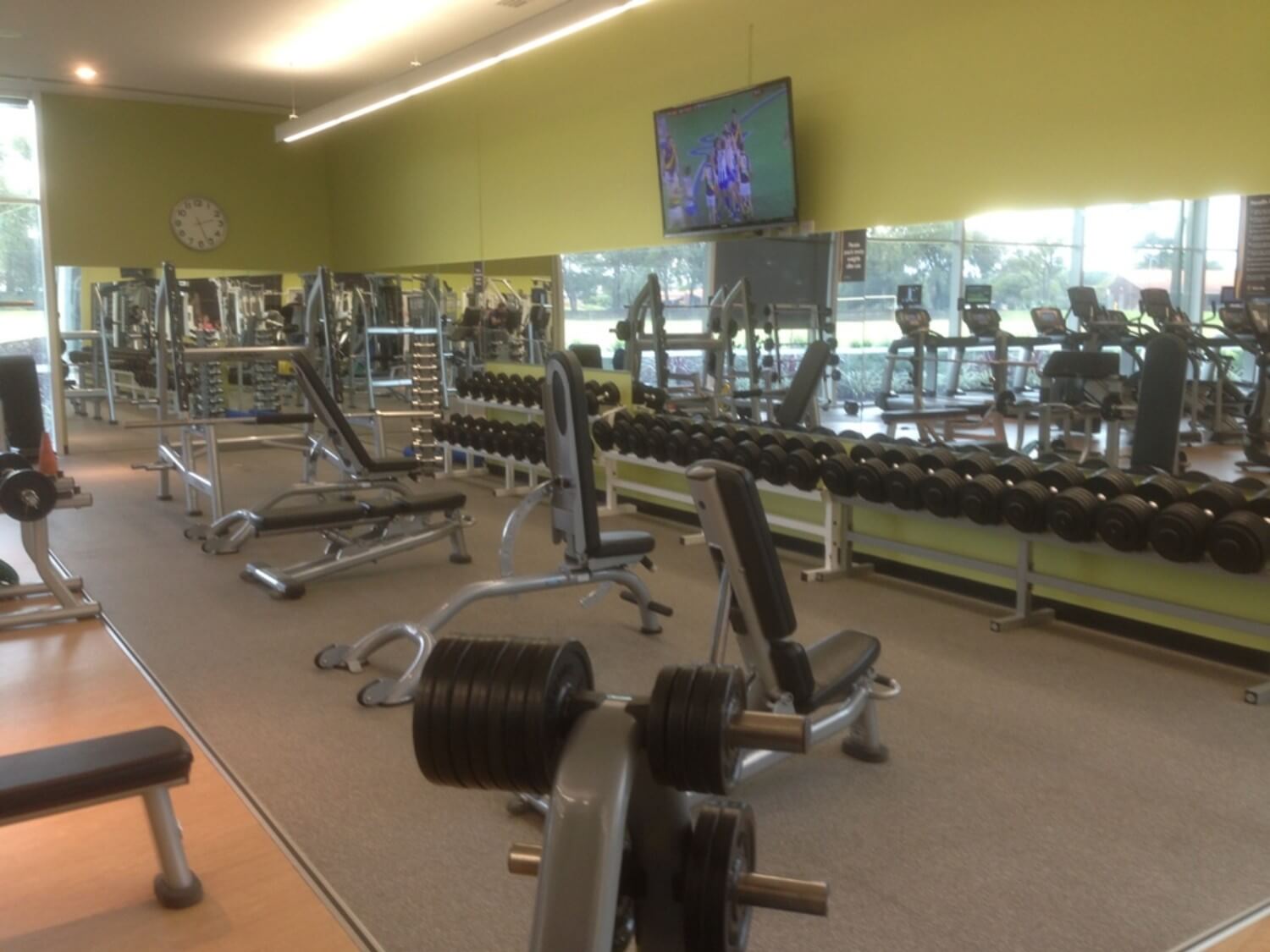 Gym Mirrors